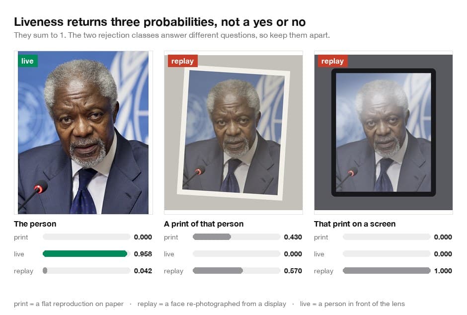 One portrait presented three ways: the original photograph, the same photograph printed on paper, and that print shown on a screen. The model scores the first as live and the other two as attacks.